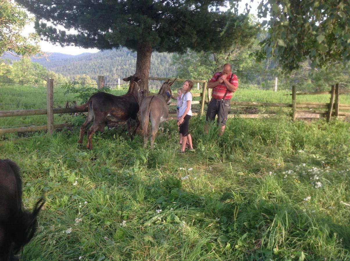 Kniebergerhof Séjour à la ferme *