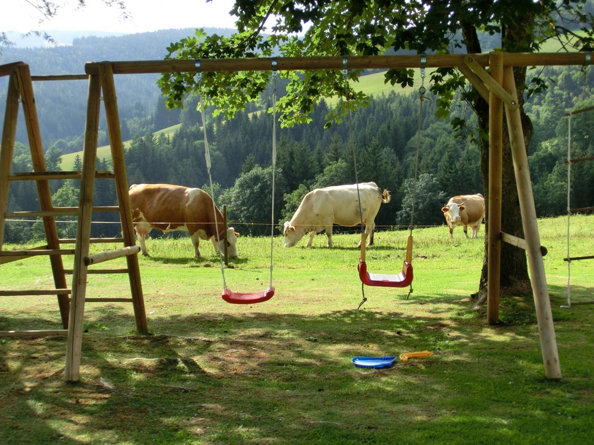 Kniebergerhof Farma